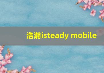 浩瀚isteady mobile